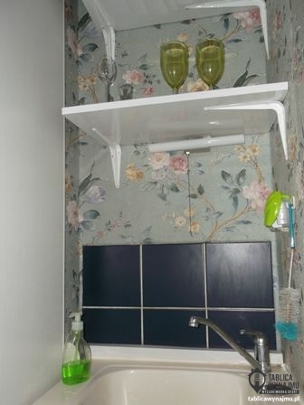 Wynajem Poznań Szamotulska 11