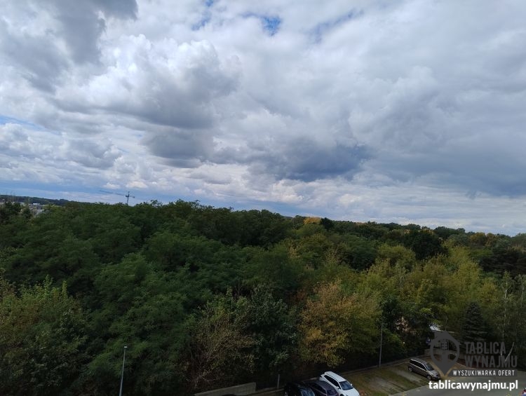 Wynajem Warszawa Rodziny Połanieckich 29