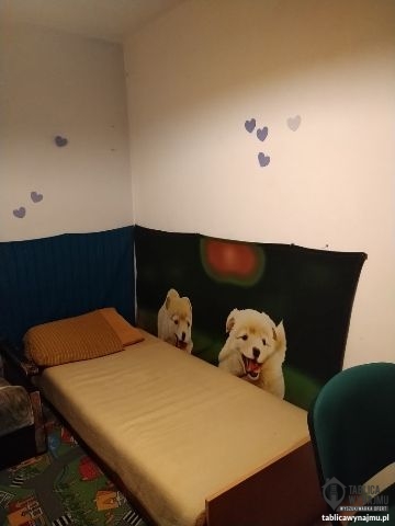 Wynajem Wrocław Pl Grunwaldzki okolica 75