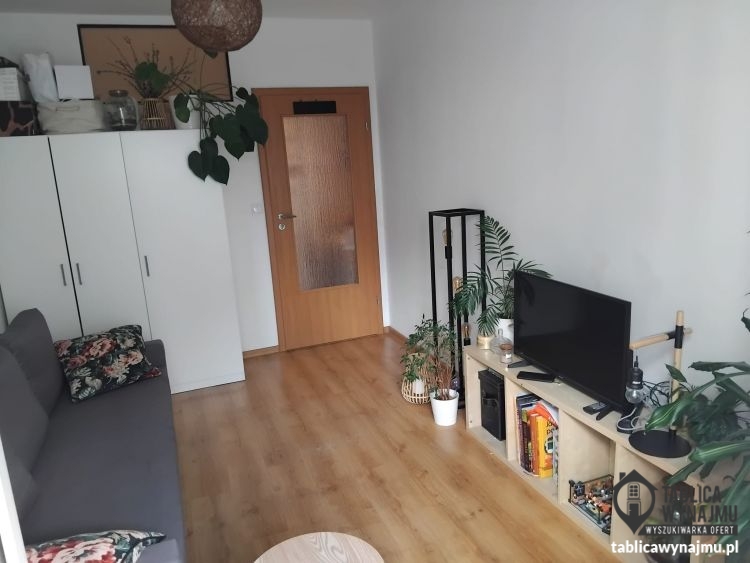 Wynajem Wrocław Prądzyńskiego 55