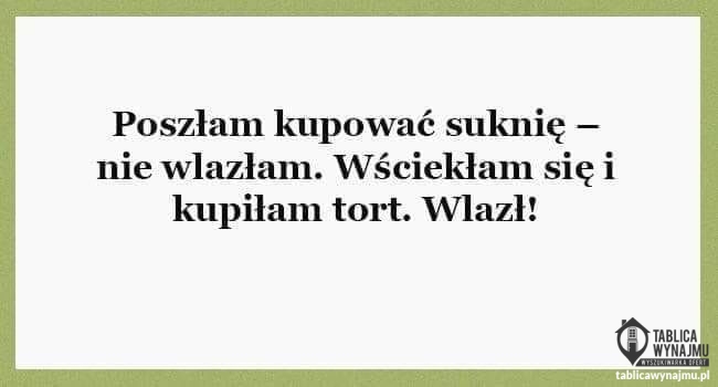 Wynajem Wrocław Wiwulskiego 36