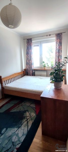 Wynajem Poznań Bolesława Śmiałego 21